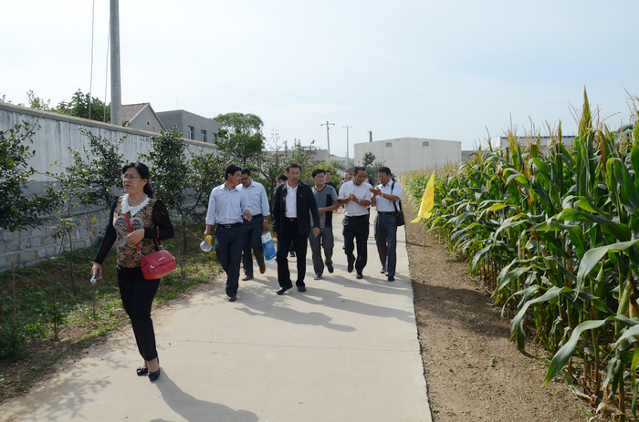 烟台市种子行业到鲁丰观摩